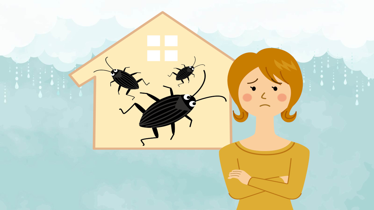 家とゴキブリと女性