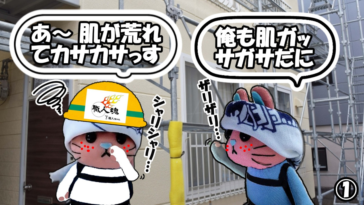 355話,花粉と黄砂,①