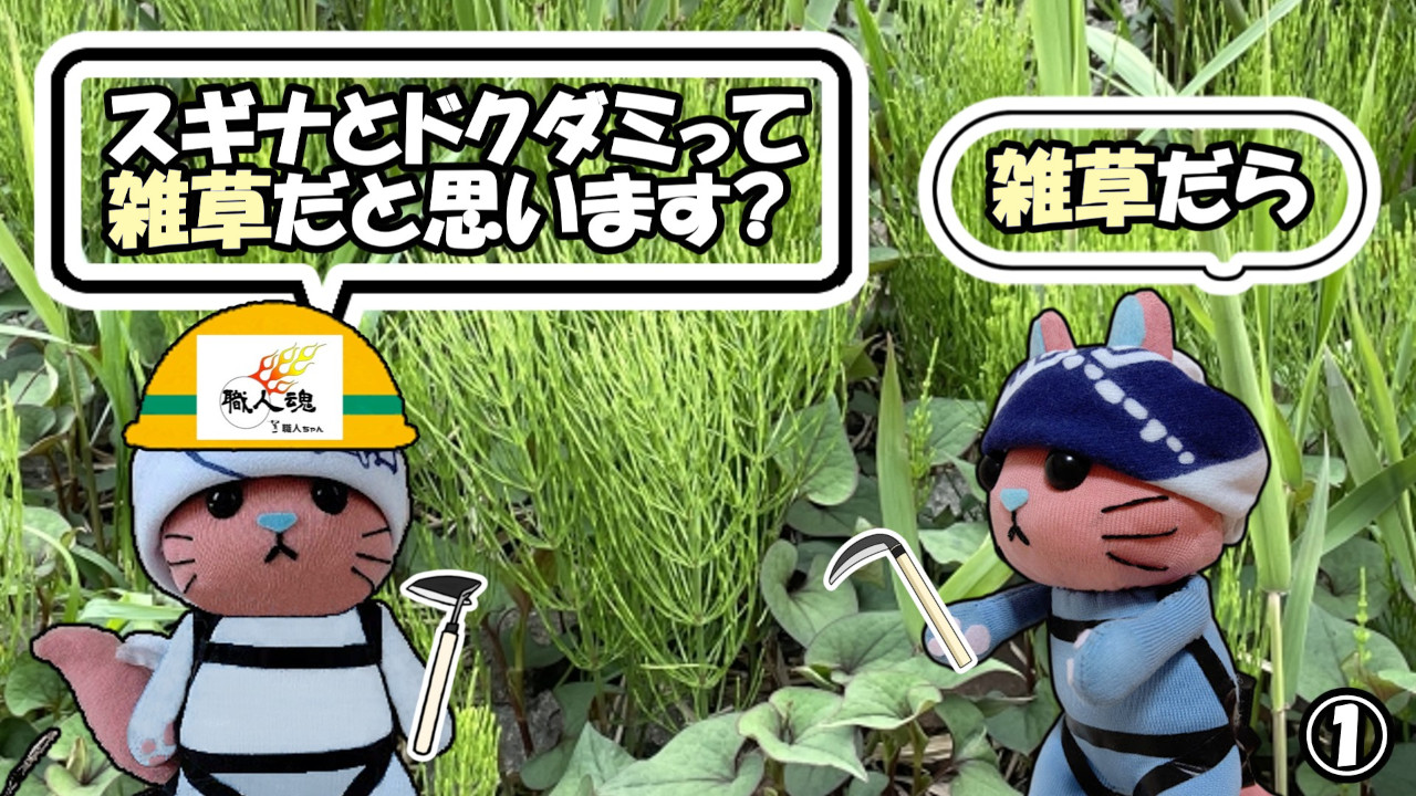 358話,薬草,①