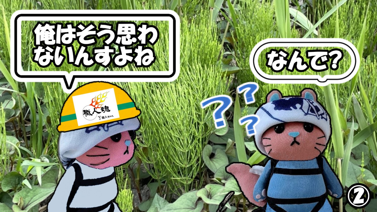 358話,薬草,②
