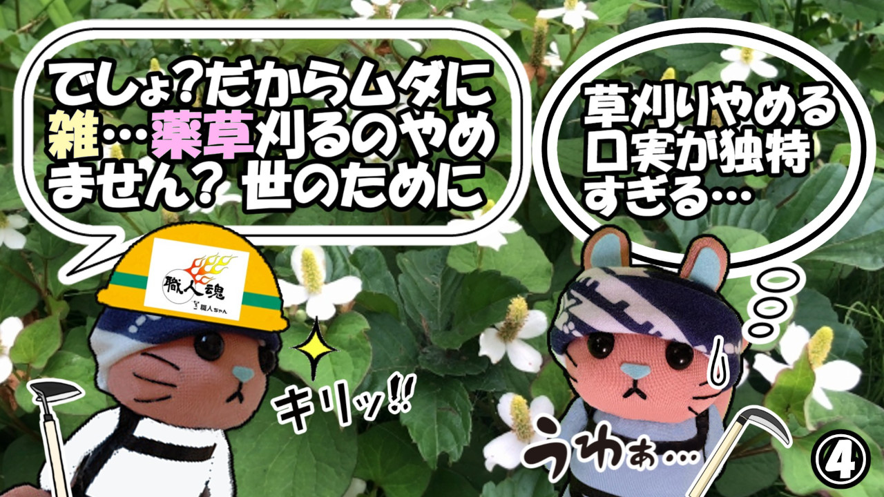 358話,薬草,④
