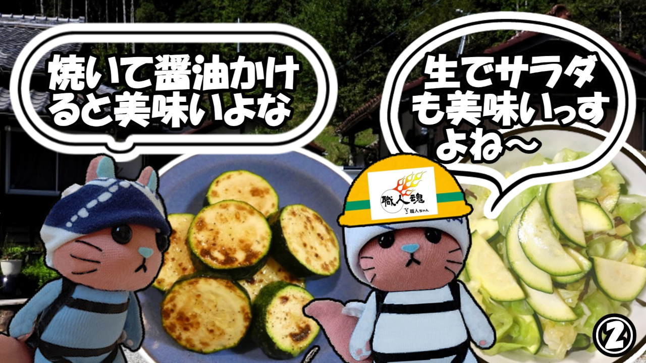 362話,ズッキーニ,②