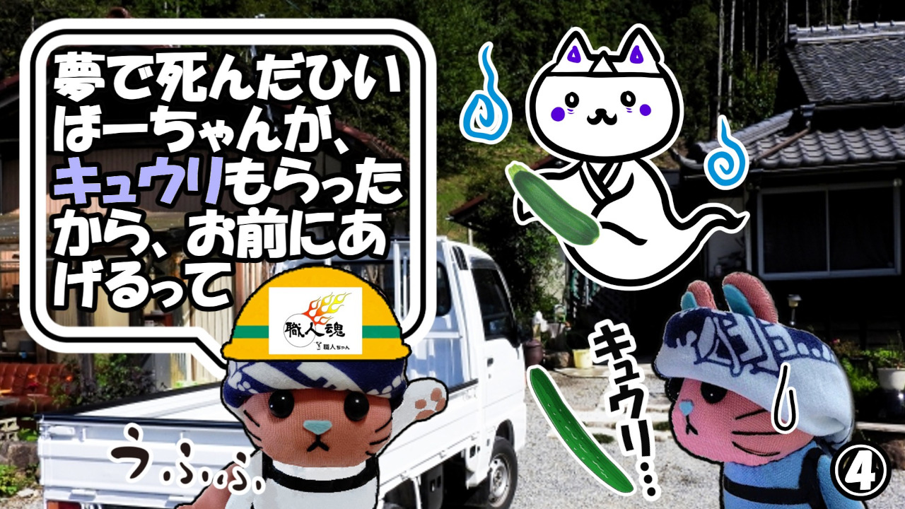 362話,ズッキーニ,④